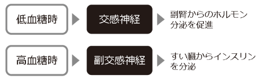 副腎と自律神経失調症